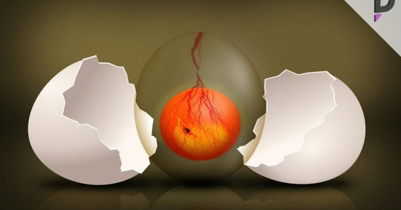 Woman Heartbroken Over Crushed Chicken Egg Witnesses a Miracle Woman Heartbroken Over Crushed Chicken Egg Witnesses a Miracle