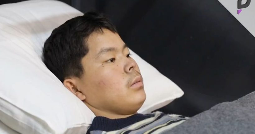 Zelenskyy Highlights Captured North Korean Soldiers' Plight Pulse news network