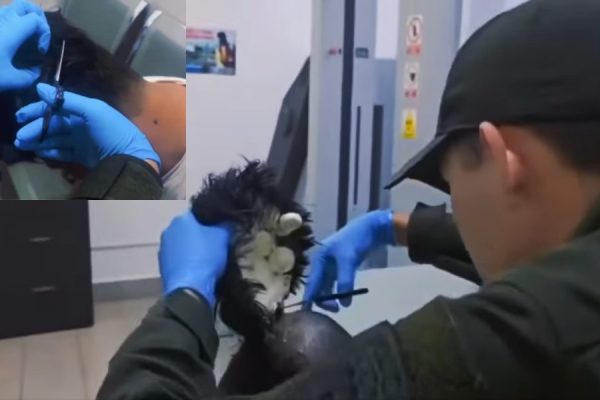 Colombian Man Caught Smuggling $10,000 of Cocaine Under Fake Wig at Airport Pulse news network Colombian Man Caught Smuggling $10,000 of Cocaine Under Fake Wig at Airport Pulse news network