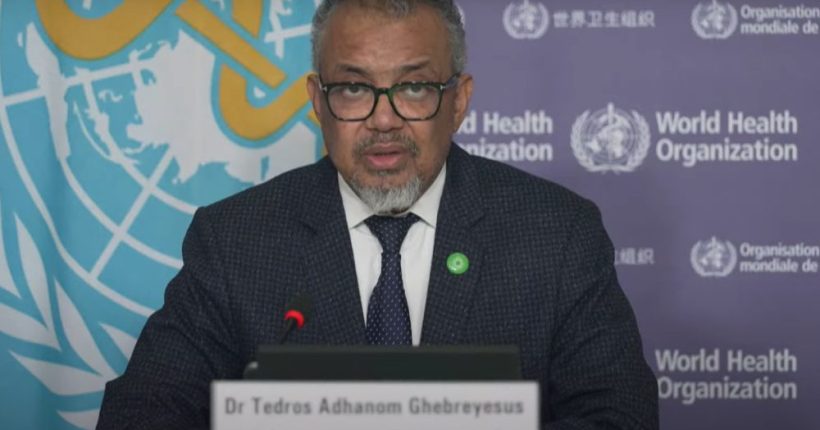 WHO Warns of USAID Freeze Impact Pulse news network WHO Warns of USAID Freeze Impact Pulse news network