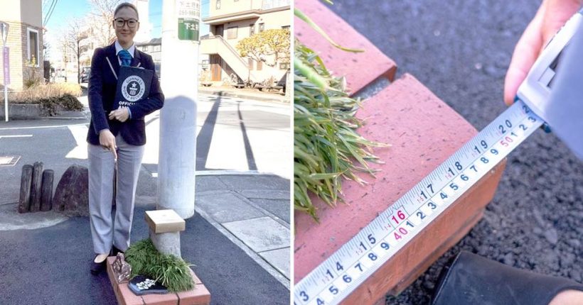 World’s Smallest Park Officially Recognized Pulse news network (1) World’s Smallest Park Officially Recognized Pulse news network (1)