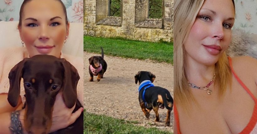 Mum Found Dead in Swindon, UK Home as Pet Dogs Eat Remains Pulse news network Mum Found Dead in Swindon, UK Home as Pet Dogs Eat Remains Pulse news network