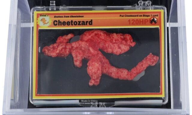 Rare Pokémon-Shaped Cheeto Sells for $87,840 Pulse news network (1)