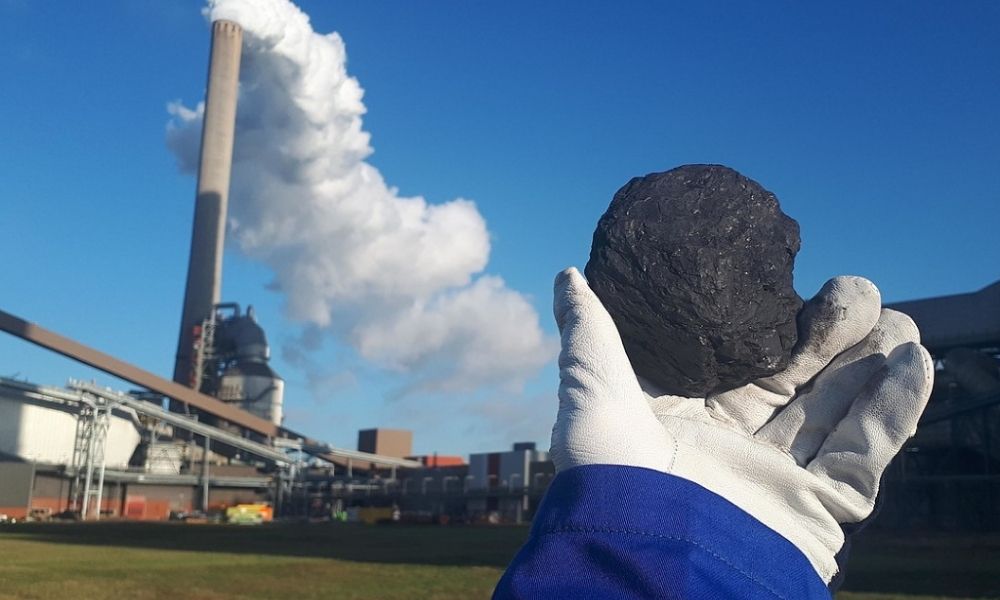 Trump to Sign Executive Order Promoting Coal Use, White House Confirms Pulse news network